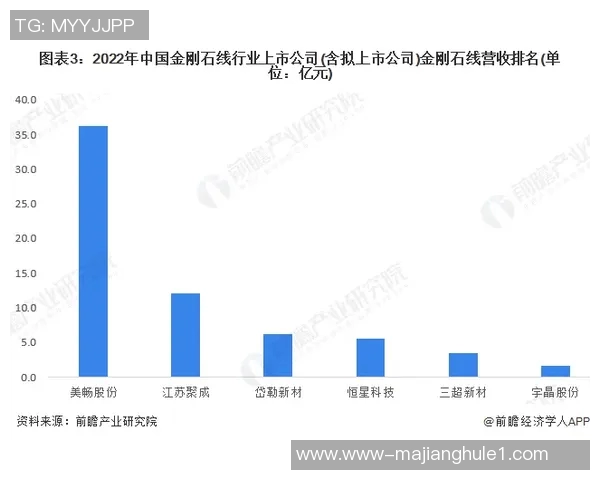 数据分析WE的实力表现与行业竞争力的深度探讨与展望